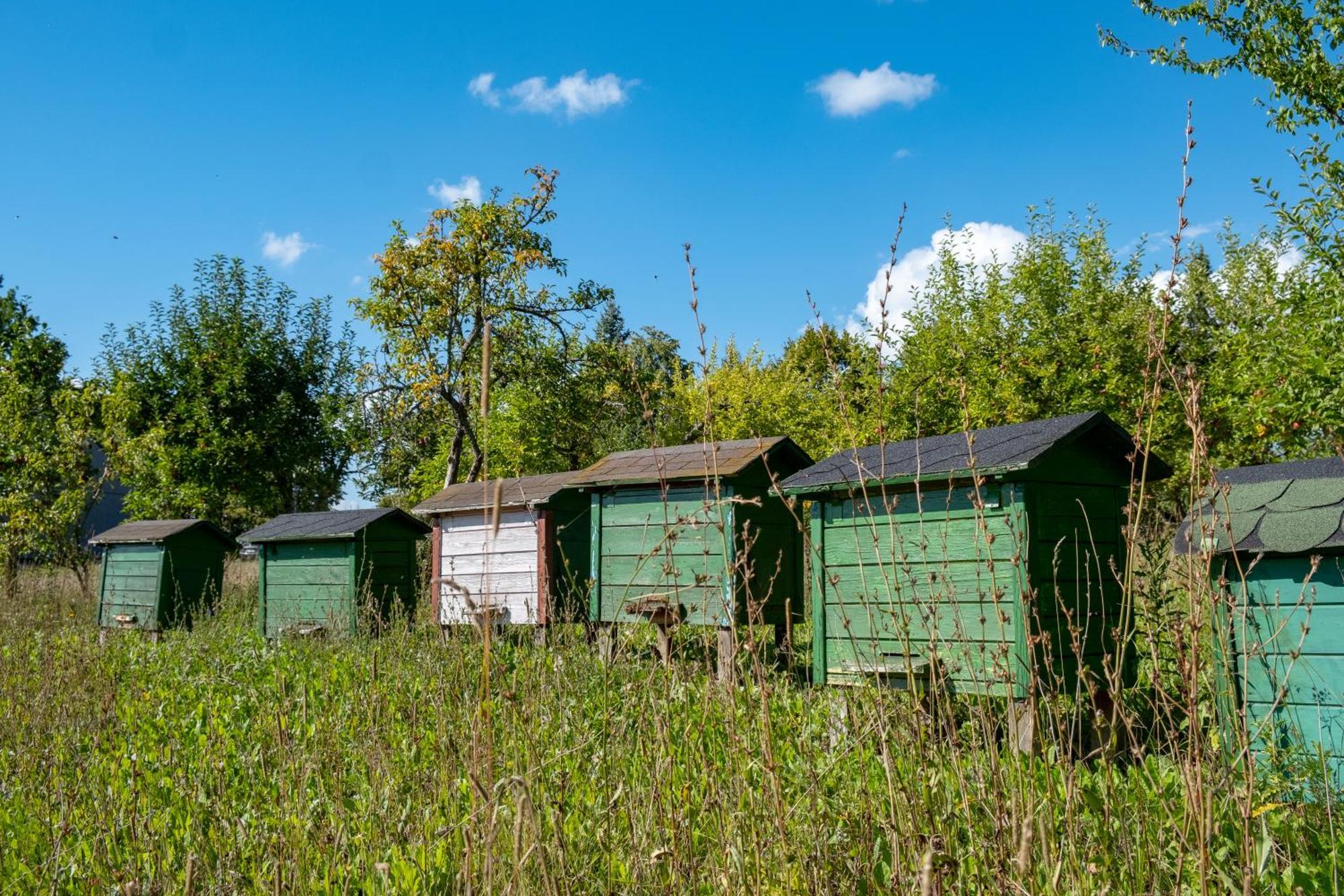 Siedlisko Leszczewek Villa Kültér fotó